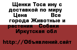 Щенки Тоса-ину с доставкой по миру › Цена ­ 68 000 - Все города Животные и растения » Собаки   . Иркутская обл.